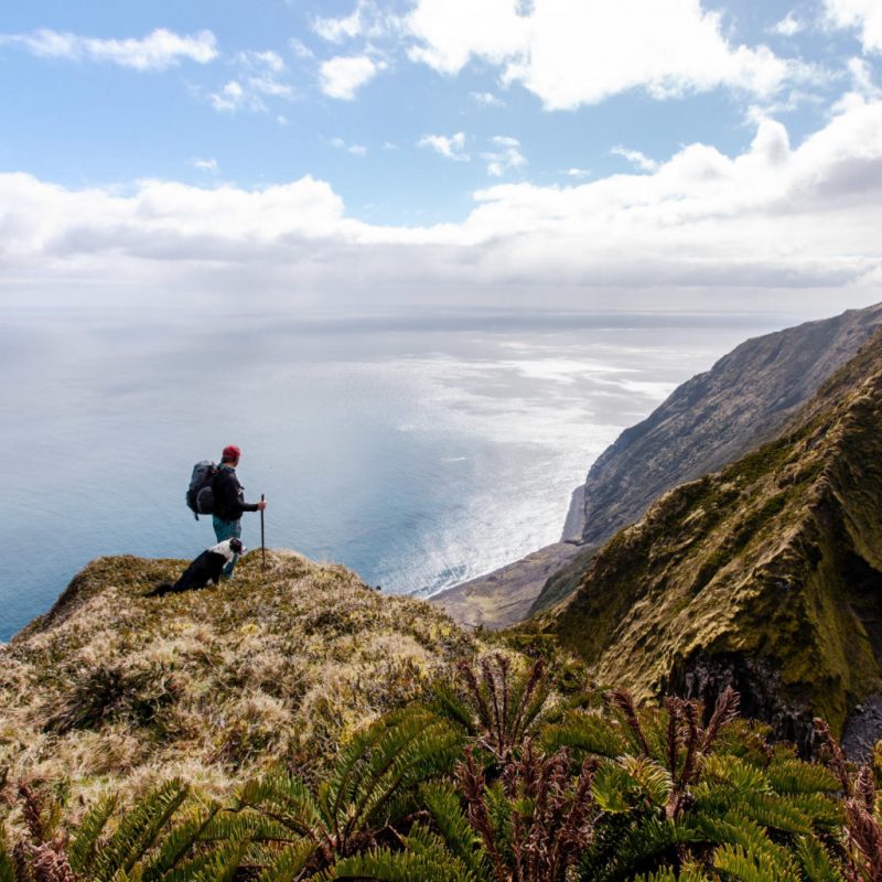 Đảo Tristan da Cunha