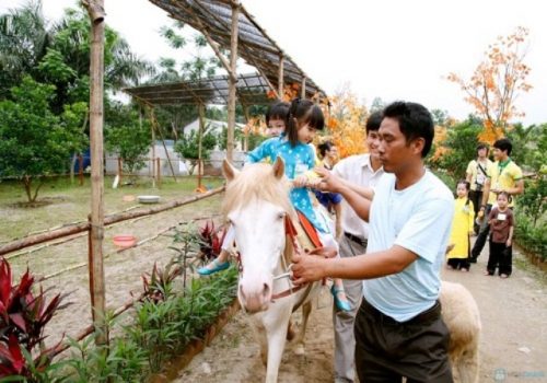 Khu trại ngựa bạch