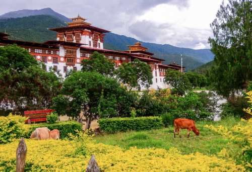 Pháo đài Punakha