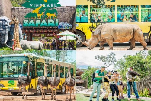 Vườn Thú Safari Phú Quốc